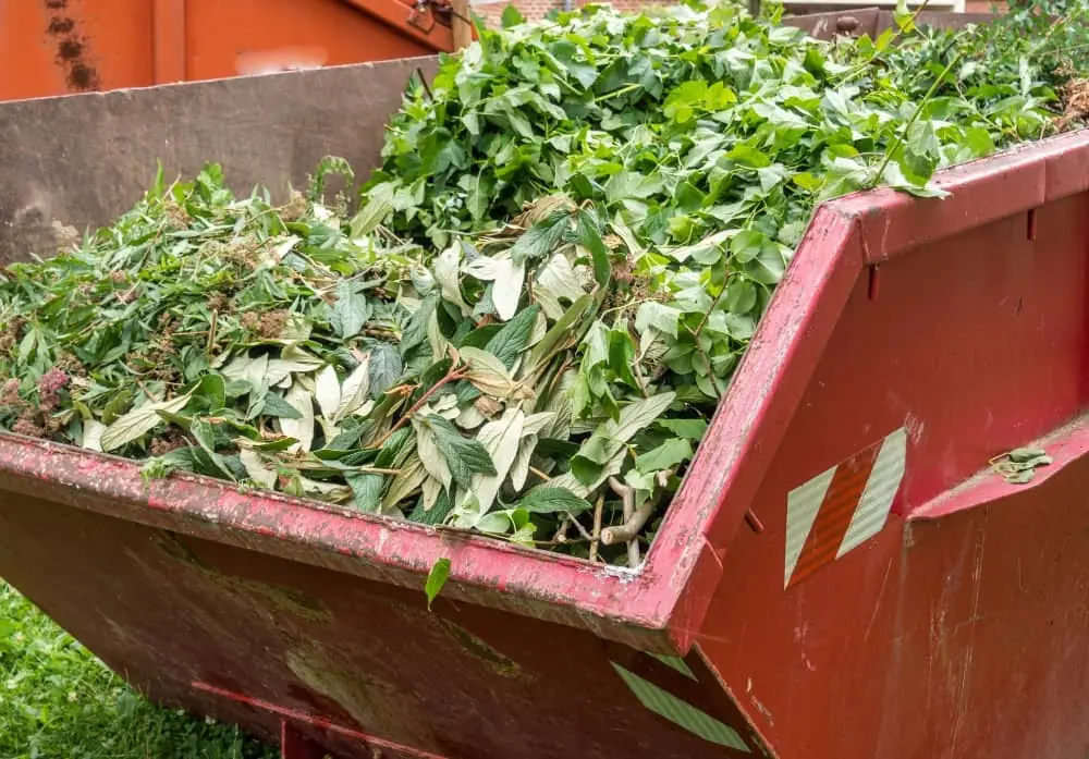 Choosing the Right Green Waste Removal Method