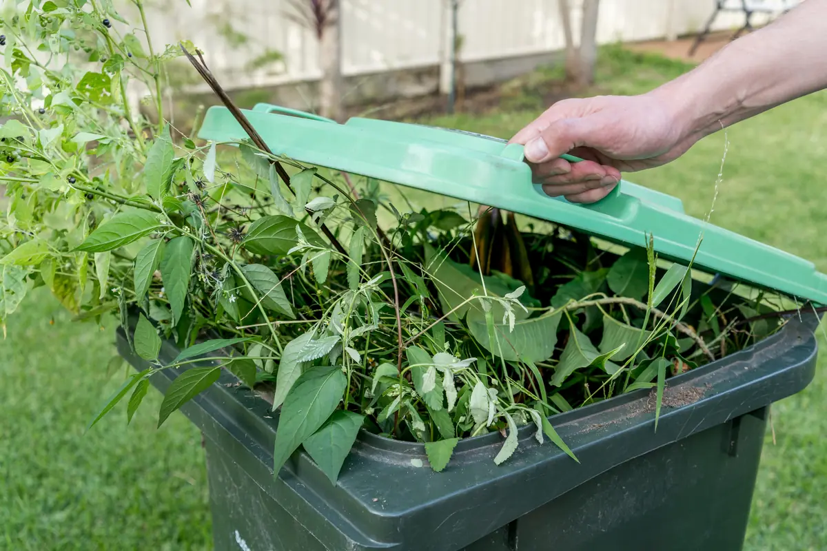 Professional Green Waste Removal in Christchurch
