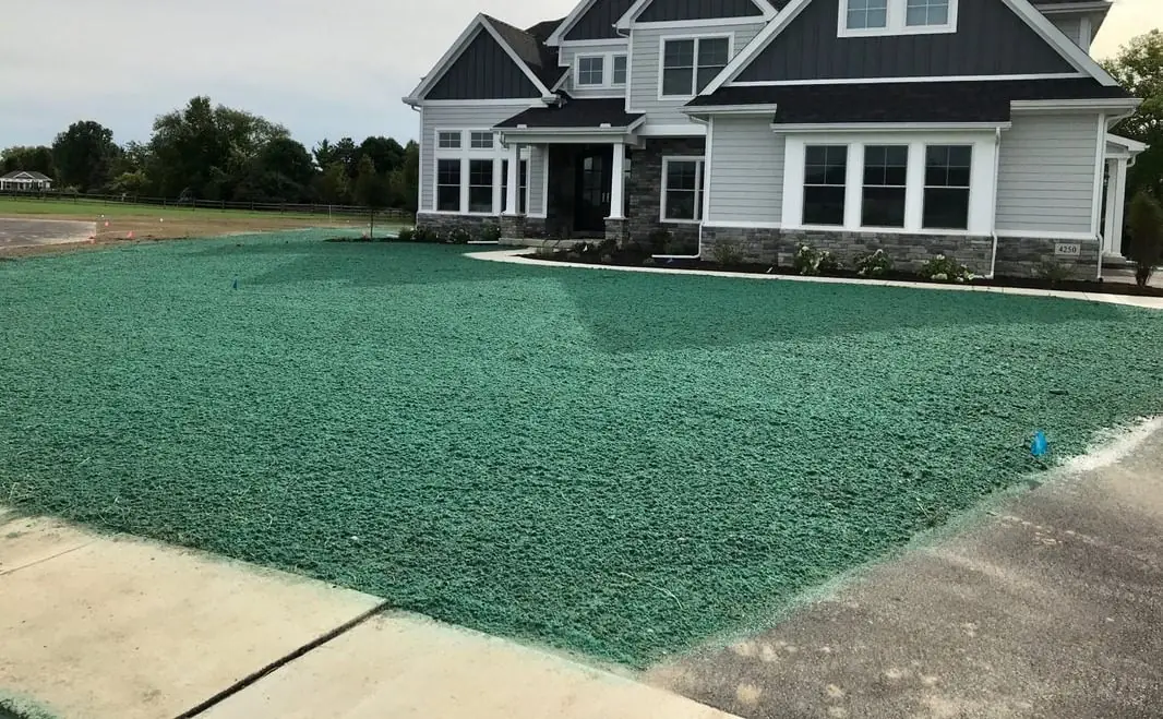Hydroseeding in Christchurch