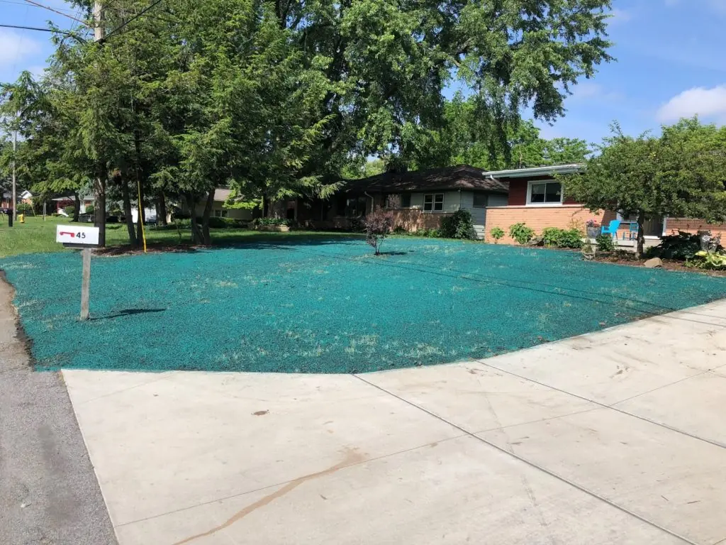 Why Hydroseeding is Beneficial For You
