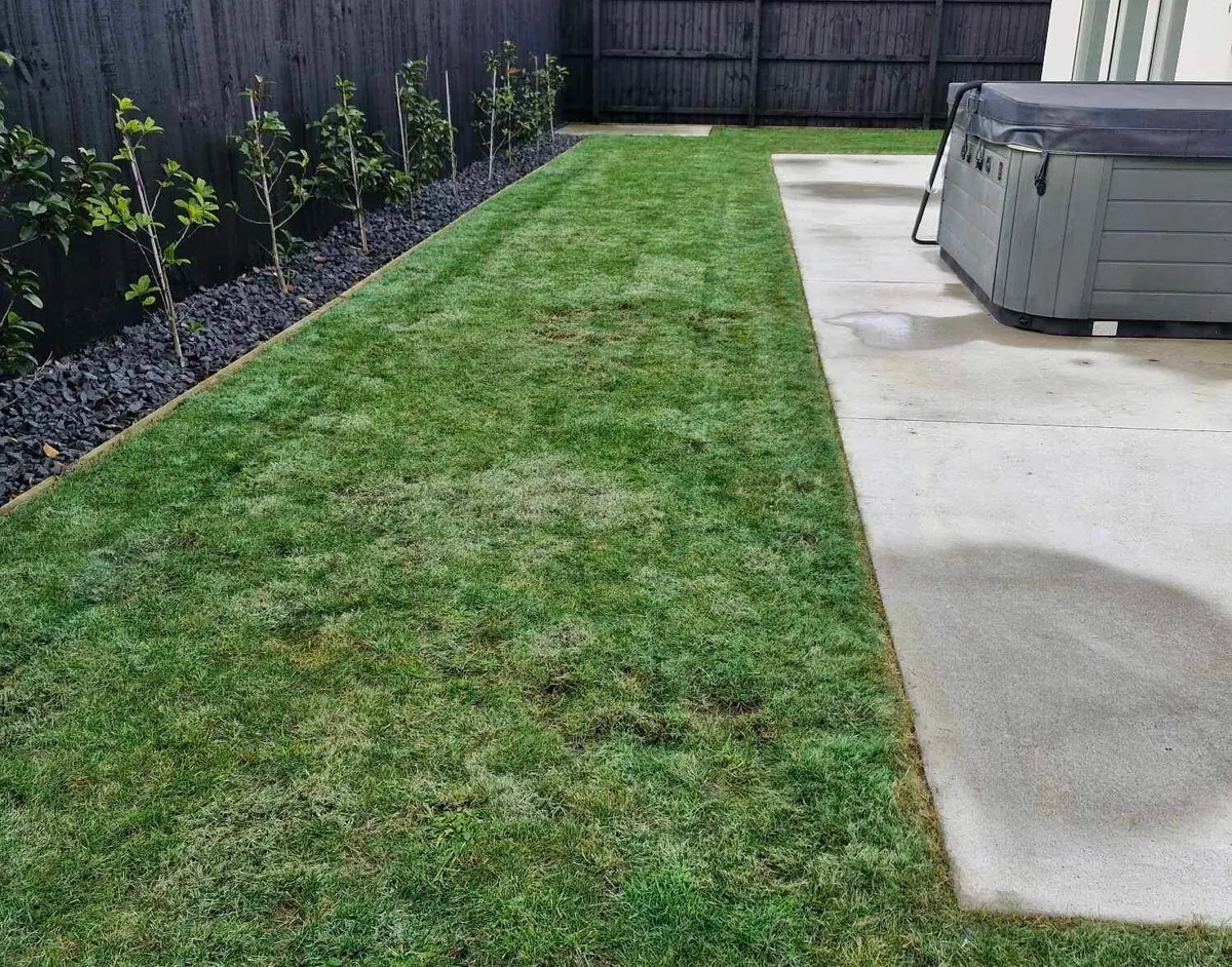 Professional Lawn Maintenance in Christchurch