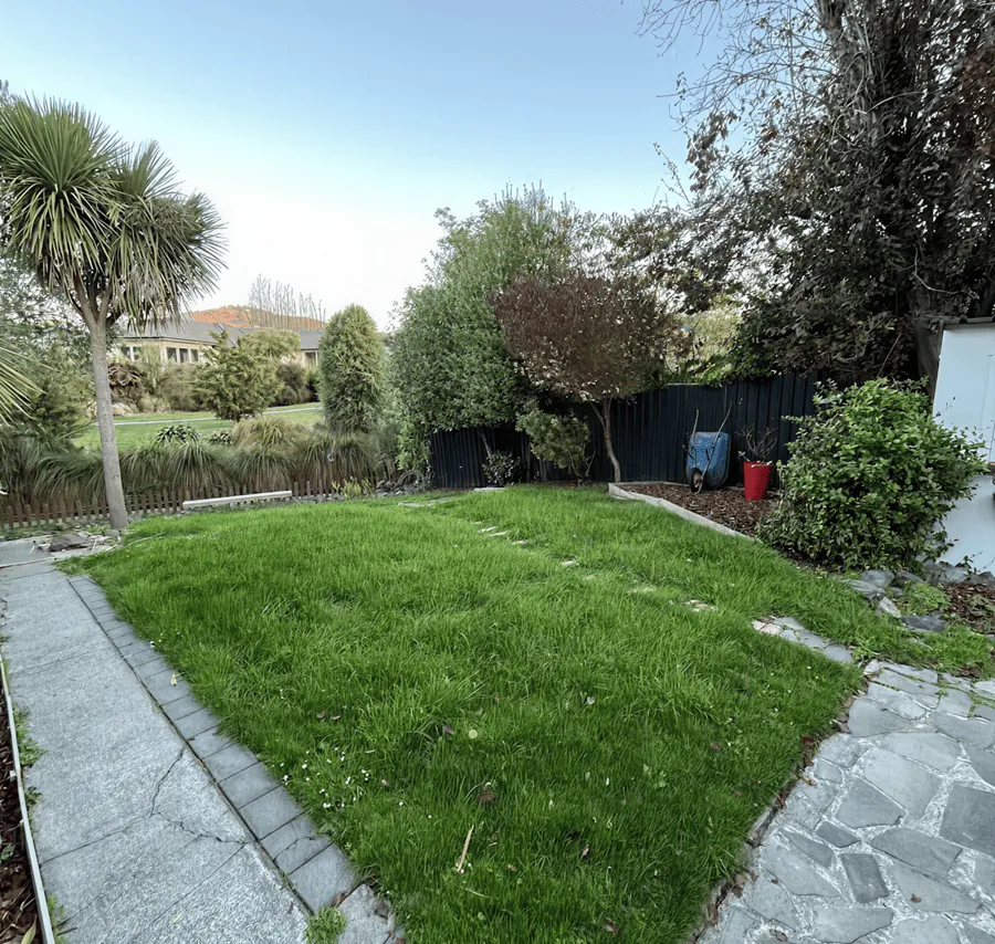 Ready lawn laid