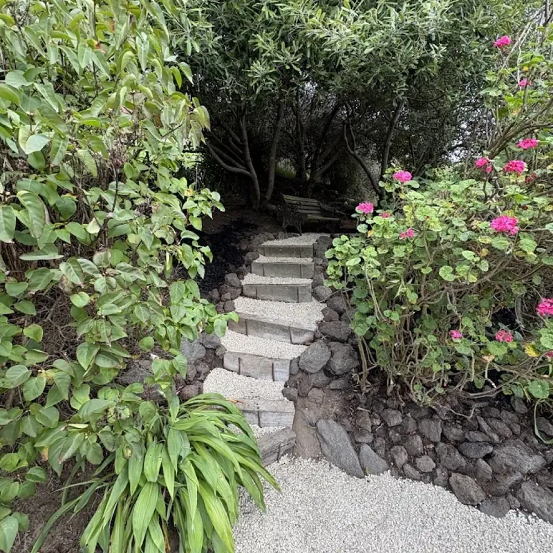 Steps and planting