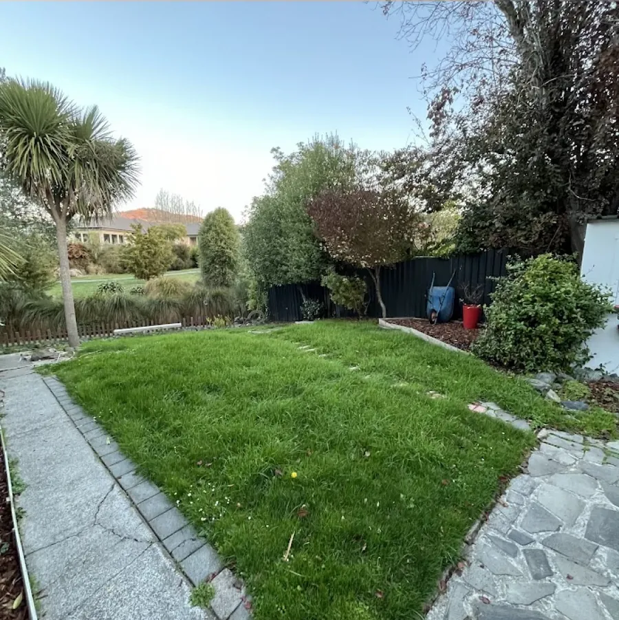 Backyard ready for photos